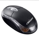 Mouse Brigth ps2